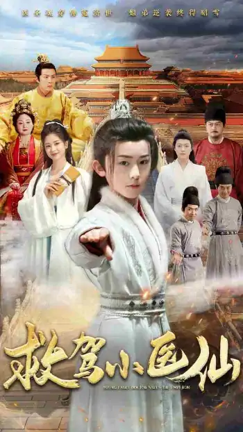 救驾小医仙（65集）