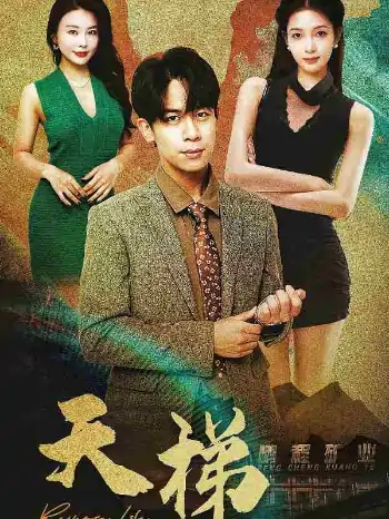 天梯（53集）