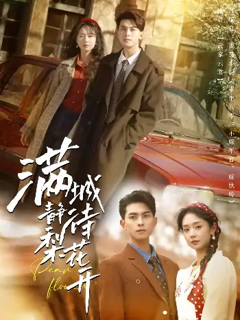 满城静待梨花开（100集）韦若辰＆张紫菡