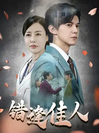错逢佳人（42集）王夏桥