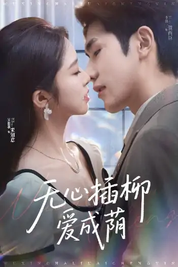 无心插柳爱成荫（50集）李铂一&吴毅非