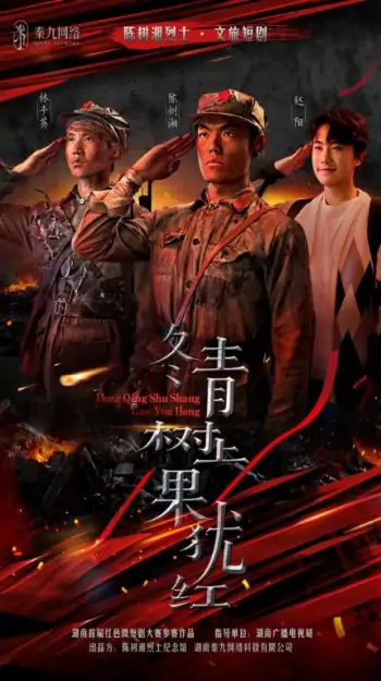 冬青树上果犹红（9集）张懋&夏天琪