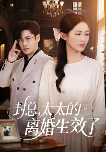 封总，太太的离婚生效了（82集）崔秀子&李子锋