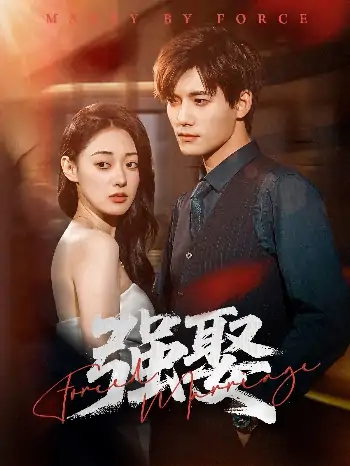 强娶（81集）郑文岩＆汤震