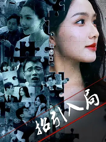 招引入局（60集）曾贤正&蔡滟静