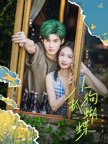 小狗抓蝴蝶（75集）谭盐盐＆杨鹏丞
