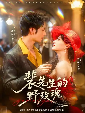 裴先生的野玫瑰（72集）兰岚&王道铁
