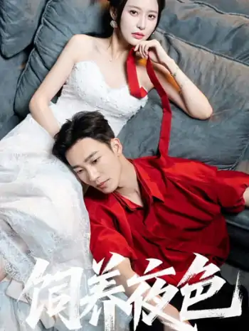 饲养夜色（86集）姚冠宇＆陈思澈