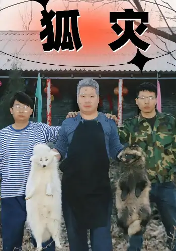 狐灾（25集）
