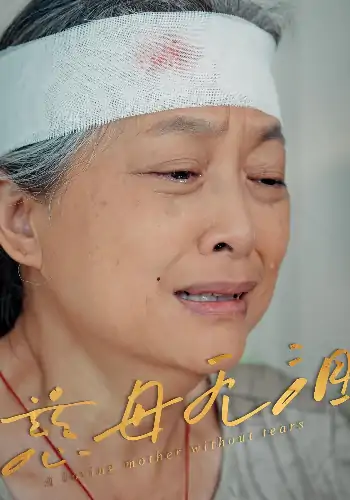慈母无泪（30集）