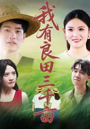 我有良田三千亩（80集）