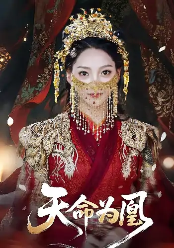 天命为凰（69）徐兰迪&徐江帅