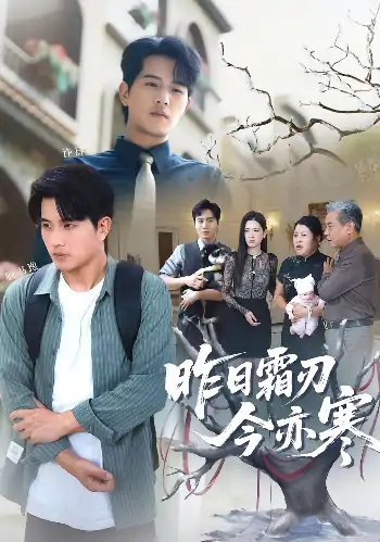 昨日霜刃今亦寒（80集）梅瑞滢&李刘朋