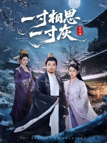 一寸相思一寸灰（60集）