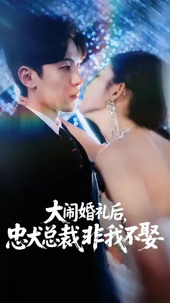 大闹婚礼后，忠犬总裁非我不娶（80集）刘盈&王知煜