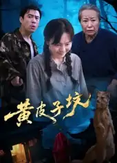 黄皮子坟（35集）