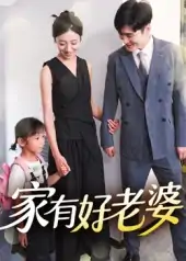 家有好老婆（35集）