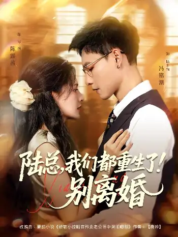 陆总我们都重生了别离婚（79集）冯铭潮&陈露茜