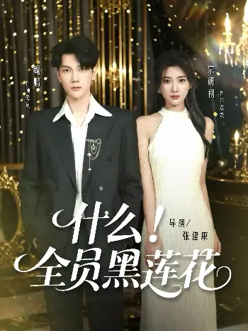 什么全员黑莲花（60集）魏鹏＆宗妍初