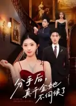 分手后真千金她不伺候了（67集）肖琳&刘小龙