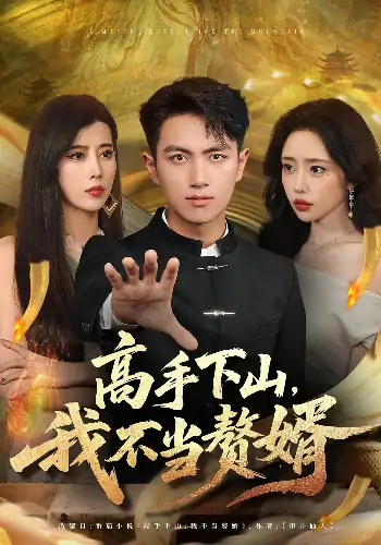 高手下山我不当赘婿（66集）苏凝&鲜嘉臣