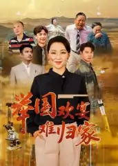 举国欢宴难归家（40集）