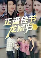 正逢佳节龙婿归（42集）王鹏赫&王馨