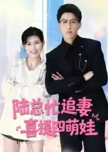 陆总忙追妻喜提四萌娃（60集）杨晓婷