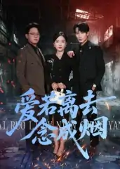 爱若离去念成烟（100集）文艺贞