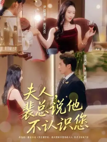 夫人裴总说他不认识您（75集）张淇皓&尹晨攒
