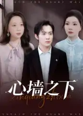 心墙之下（43集）赵宏甲&郑抒淼